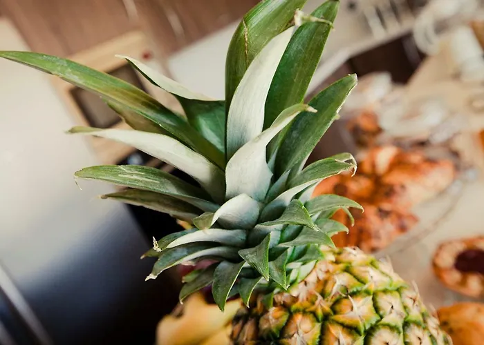 Soleil Gozo (adults Only)